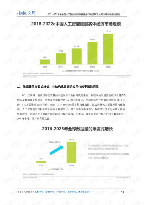 2021-2025年中國人工智能基礎(chǔ)數(shù)據(jù)服務(wù)行業(yè)調(diào)研及長尾市場戰(zhàn)略報告