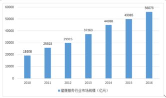 2017-2023年中國健康服務行業深度調研與投資戰略研究報告