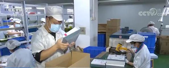 出口轉內銷 市場調查服務如何助力外貿企業釋放增長潛力